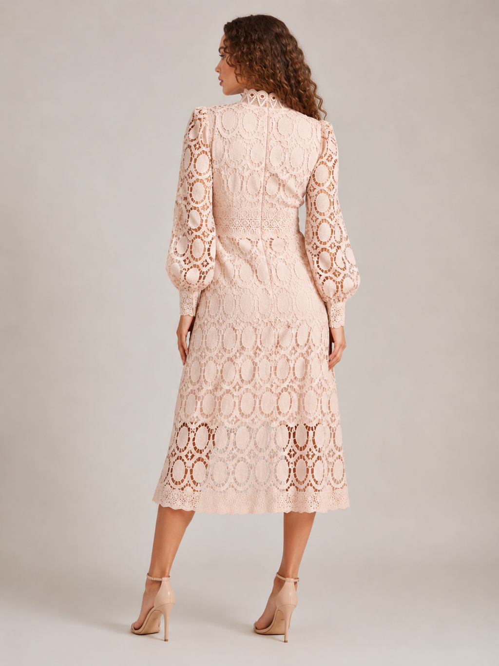 Imogen High Collar Sheer Sleeve All Over Lace Midi Dress in Beige