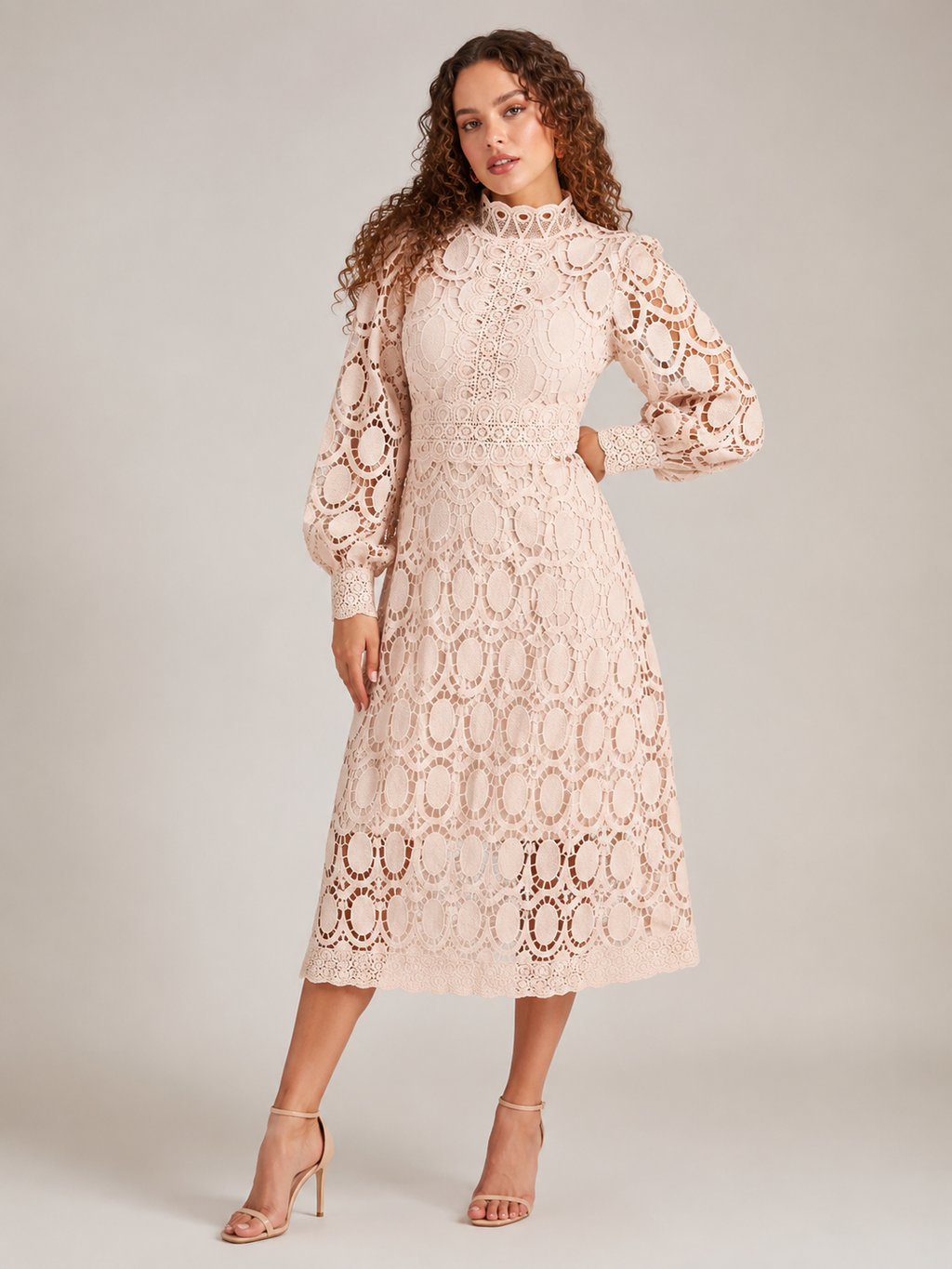 Imogen High Collar Sheer Sleeve All Over Lace Midi Dress in Beige