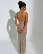 Quinn All Over Sequin Sleeveless Column Maxi Dress in Silver