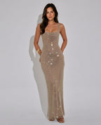 Quinn All Over Sequin Sleeveless Column Maxi Dress in Silver