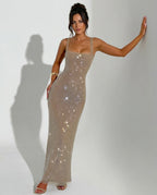 Quinn All Over Sequin Sleeveless Column Maxi Dress in Silver