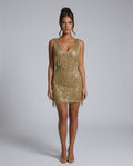 Tatum Sequin Mini Dress with Tiered Fringe Detail in Gold